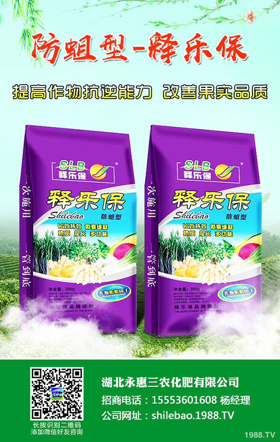     2019��11�µ���������⛷��Ј��r�������߄��A(y��)�y��