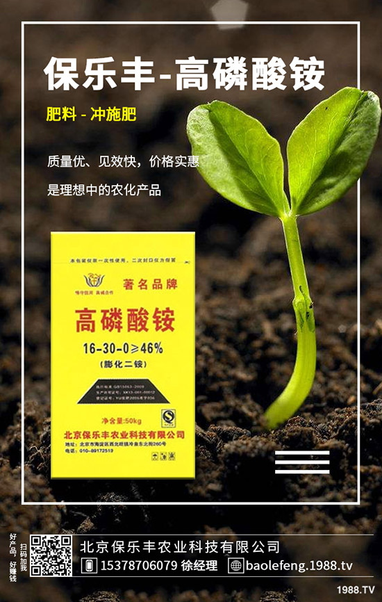 �}���������l(f��)��Ҏ(gu��)������Щ���}������������Ҫ�c(di��n)��