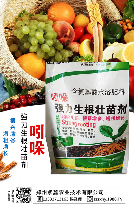 ��֥��Nֲ�r�g��ʲô�r�������֥��Nֲ�������g(sh��)��