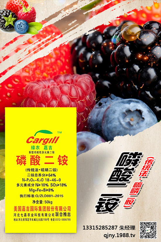 С����ʲô����(ji��)���N������Щ�Nֲ������