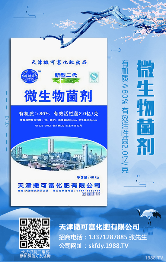 ��Ƥ�����Ժ���S��զ������ԓ��ô��Q�����������