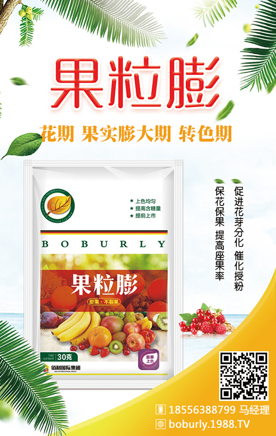 2020��Nֲ������ǰ��