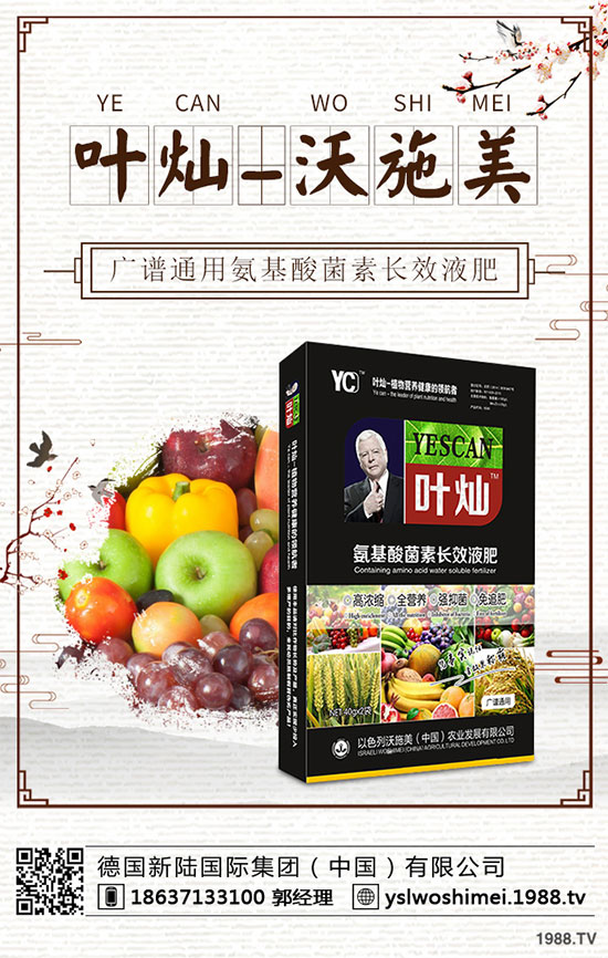 �������༾��(ji��)��ʲô�r�������˸߮a���g����Щ��