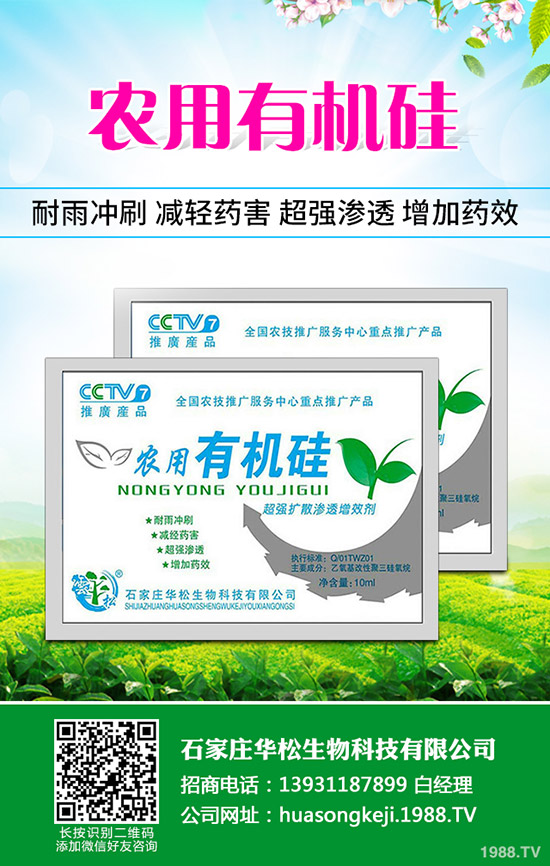 �ʲݵķNֲ��������Щ���ʲݷNֲ��Ҫʲô�ӭh(hu��n)����