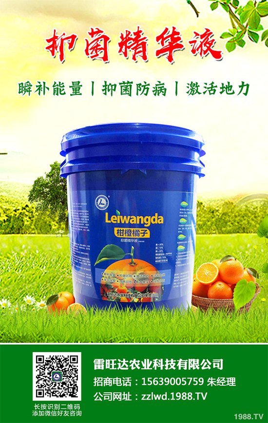 �L�ڵ͜ع��գ��߲��L�ݲ�ԓ��ν�Q�����������a��Ď�헴�ʩ