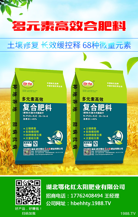 黑皮甘蔗怎么種，黑皮甘蔗種植技術(shù)有哪些？