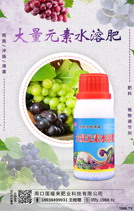 ���Ҵ�������ԓ�����������������߮a(ch��n)���༼�g(sh��)