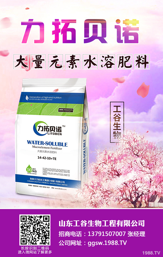     2019��11�³�����������Ј��r����������������A(y��)�y