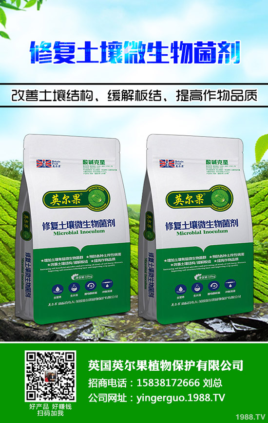     �������������2019��11��11�ո��؅^(q��)�����������S��(b��o)�r(ji��)��