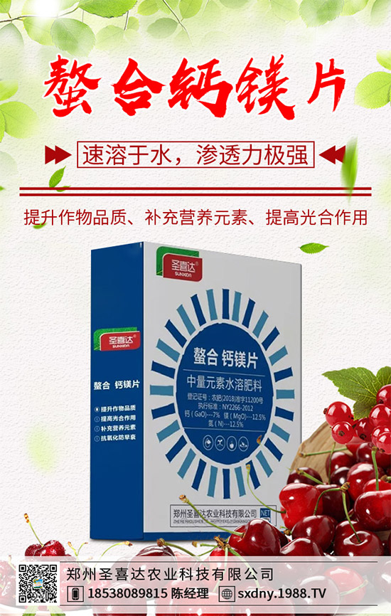 ���E��ʲô�@ô���˚gӭ�����E���Ј�(ch��ng)�������