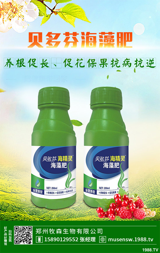 ���E��ʲô�@ô���˚gӭ�����E���Ј�(ch��ng)�������