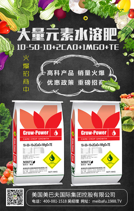 2020��Nֲʲô�߲˒��X����2020��Nֲʲô�߲�ǰ������