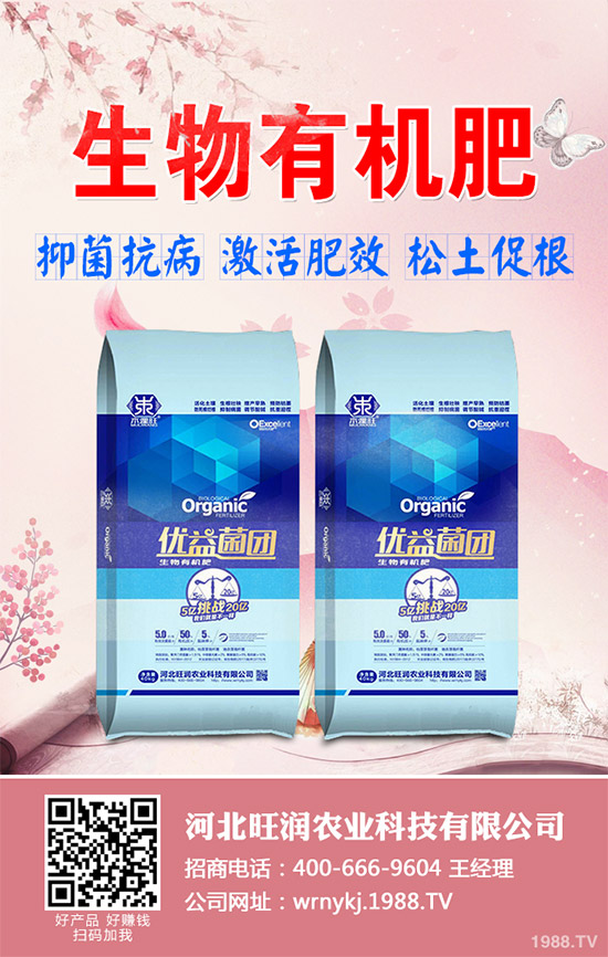 ����²�ԓ��ô�N����������²˷Nֲ���g(sh��)Ҫ�c