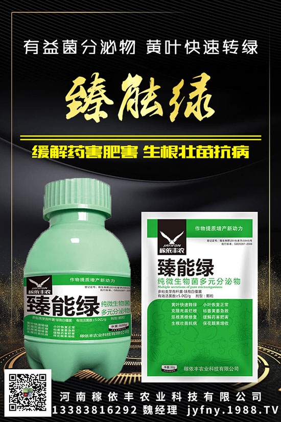 ��N�S�ʺܳ�Ҋ(ji��n)��Ԫ�غ�������������Ҫ֪���c(di��n)�M(j��n)��(l��i)������