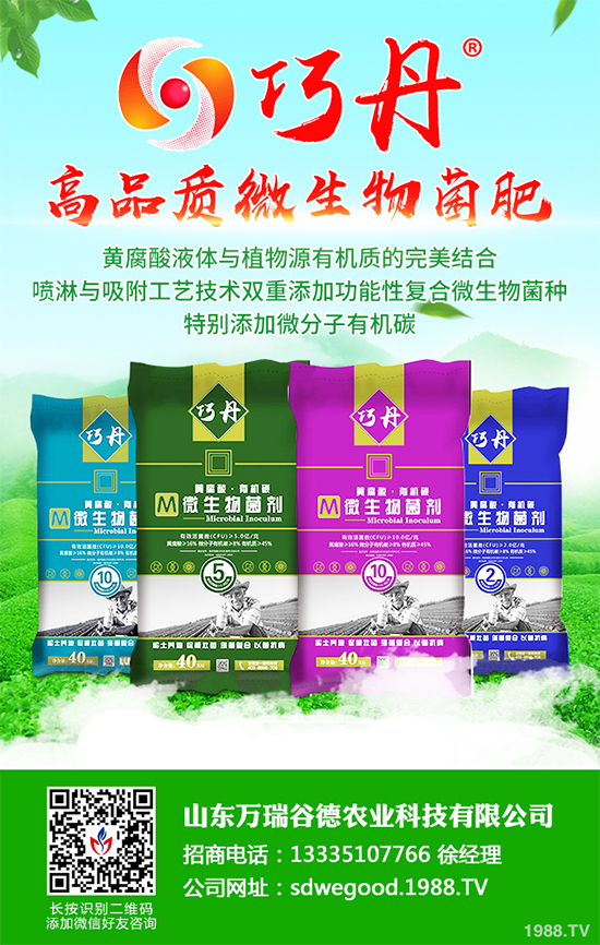 ؕ������Щ���湦Ч��ؕ�ջ��Ĺ�Ч�����c����