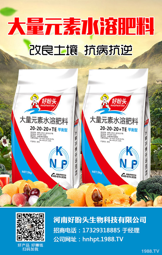 С������ĺ�̎����Щ��С������ע��Ҫ�c(di��n)��