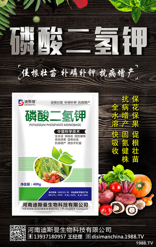 ������ô�Nֲ�������Nֲ�������ճ�����������