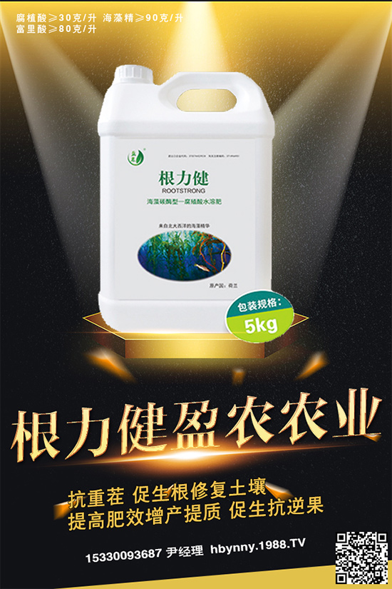     ������ȥ�������_�����_���Ϸ���ע�⡰���ɡ�