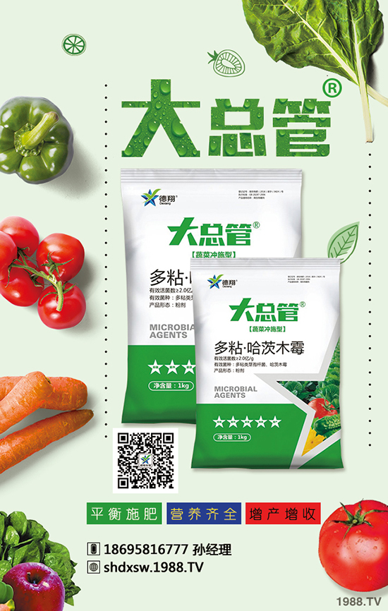 2020������Nֲٍ�X�����ɱ������X��Ч����ô����ǰ�������