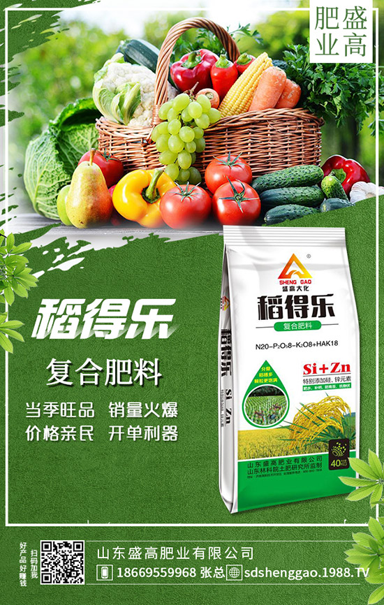     �ֲ��؅^(q��)���������»���12��25�Շ�(gu��)��(n��i)���؃r(ji��)���߄�(sh��)���������u(p��ng)��