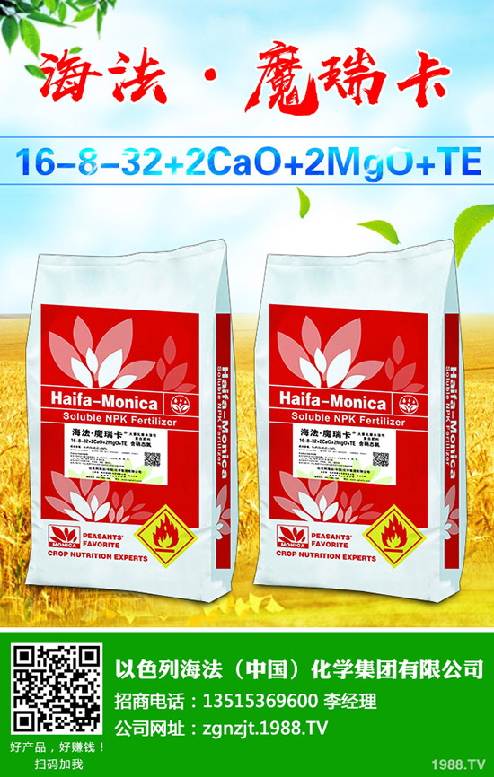     ɽˎ�r(ji��)��������Xһ����2020ɽˎ�Nֲٍ�Xô���Nֲǰ�����ɱ�������