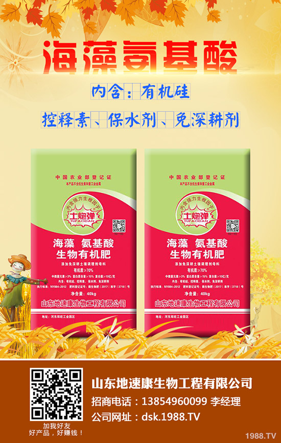     2020�괺��(ji��)���@���֏S��ͣ܇��������������һ�@�����(b��o)�r(ji��)��