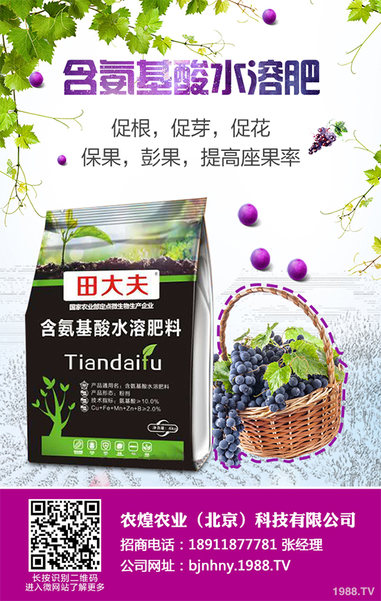 ��ѩ�^(gu��)���߲˴�����֪��ԓ��ô�������