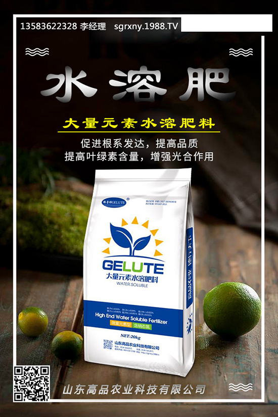     ����(n��i)���@�r�������߄��A�y2019.12.03