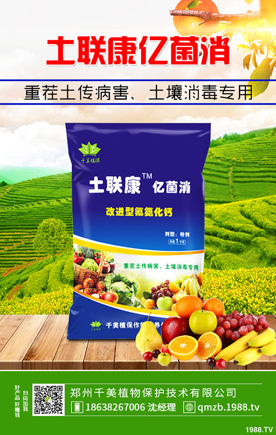     2020���؃r��������Σ����qô��12��30�ո��؅^(q��)�����������S��r��