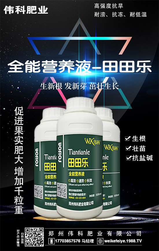     ���ӵĠI�B(y��ng)�r(ji��)ֵ����Щ����Ч�c��������Щ��������Щ��Ⱥʳ����