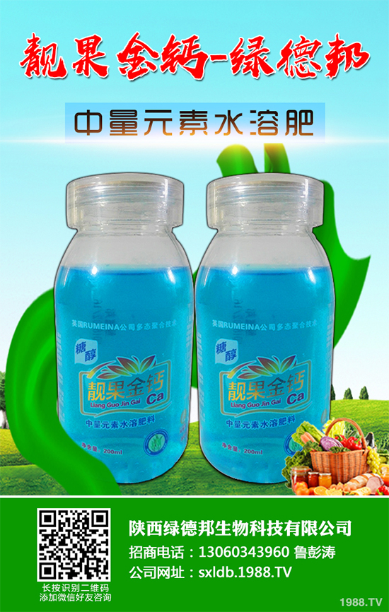 �����߲�����ЩƷ�N�������߲˵ķNֲ�l����ע�����(xi��ng)