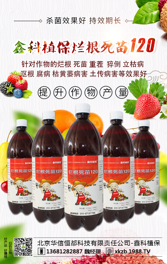 �����A�ź㶼�Ƽ�����؟(z��)�ι�˾-�ο�ֲ��1