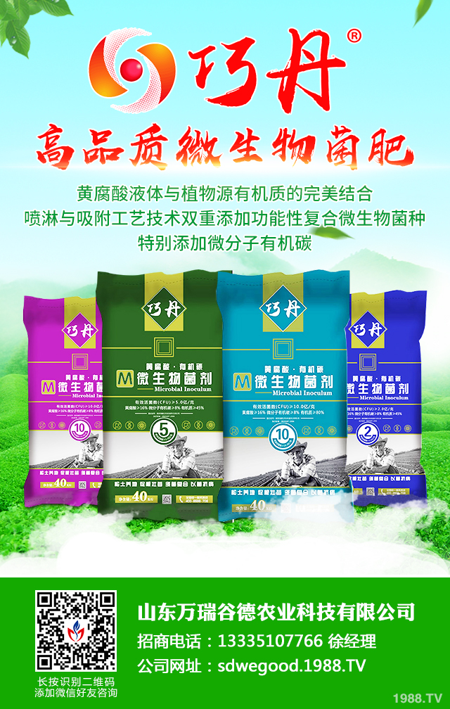 �z����˥��ô����Ч�������z����˥���η���