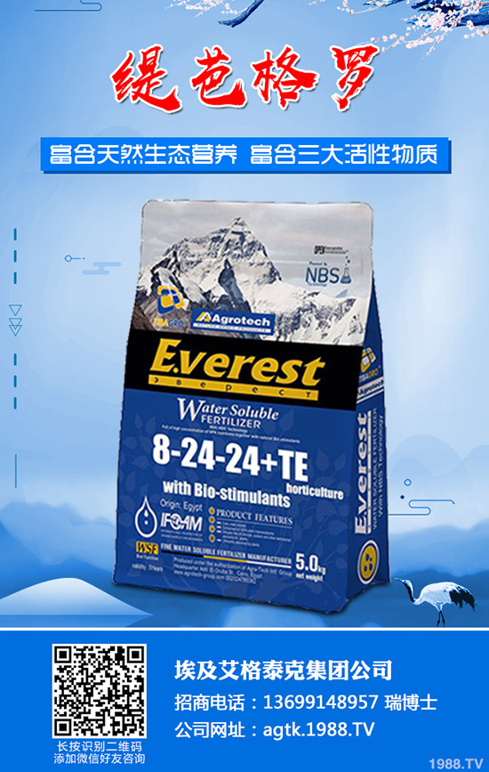 ����ʲô�r(sh��)�g�������������緽��