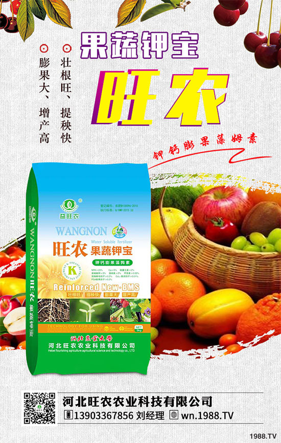 ��������ķNֲ�r�g������������������Ҫ�c����Щ��