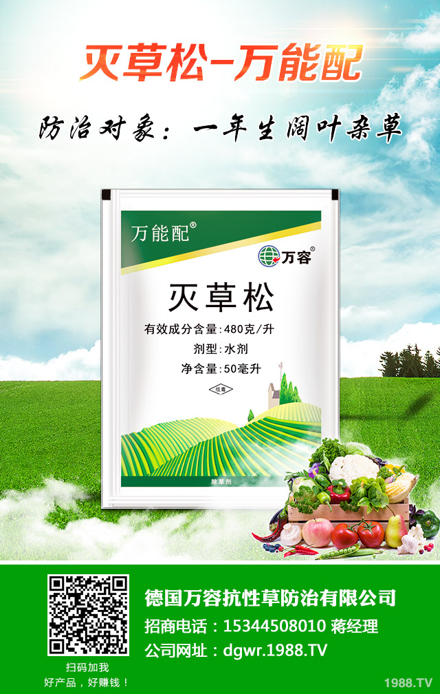 ����������ô����Ч�������������ﻯ�W���ݼ���