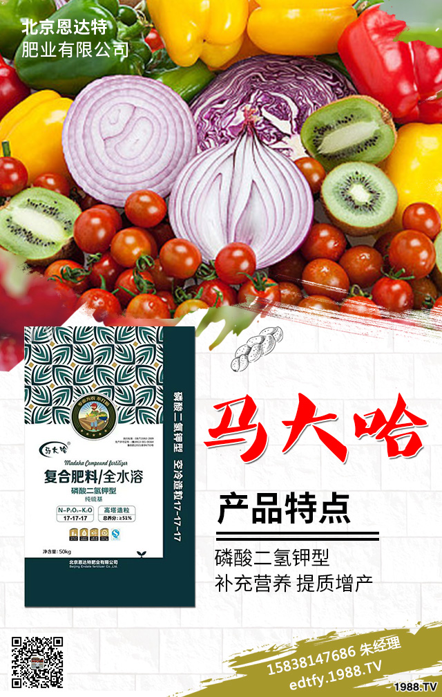 �����߲�ʩ���д�����Щ���}�������߲˷Nֲ���g(sh��)