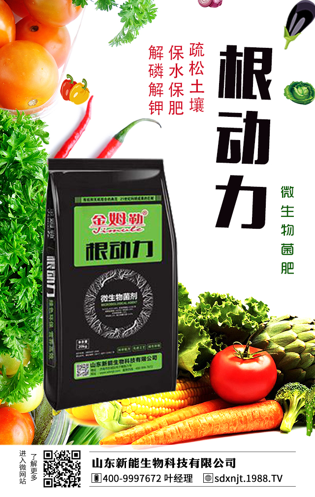 �R��������������νo�R���ʩ����