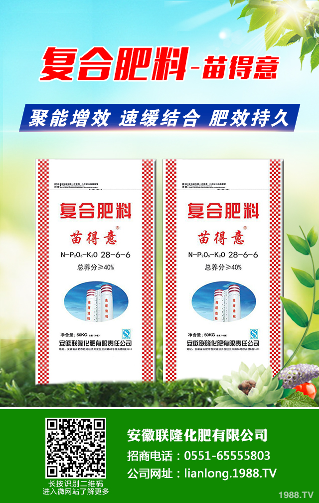 �t��������ô�������t������ȫ�����