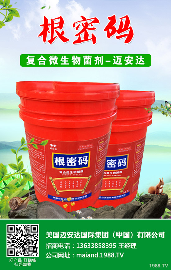 �����Jʲô�r��Nֲ�������J�Nֲ���g(sh��)��