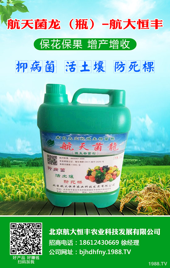 ���}��ʲô�r(sh��)��Nֲ�����}������Ҫ�c(di��n)��