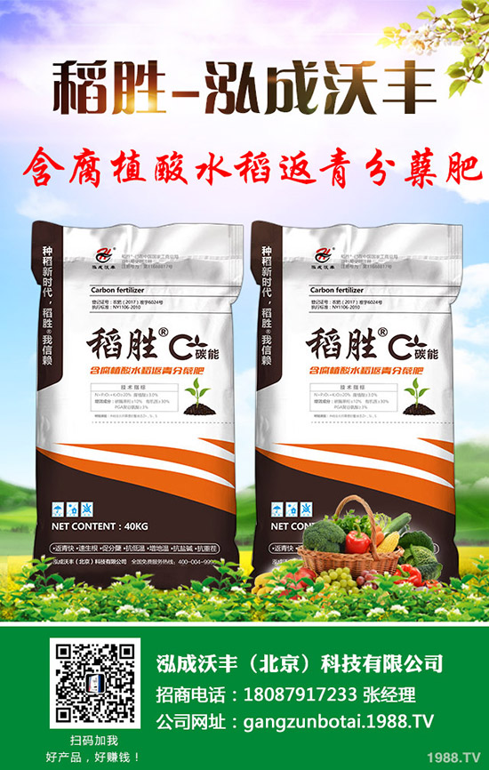     �R��������������؃r(ji��)�񯂝q�����������������2019-9-12