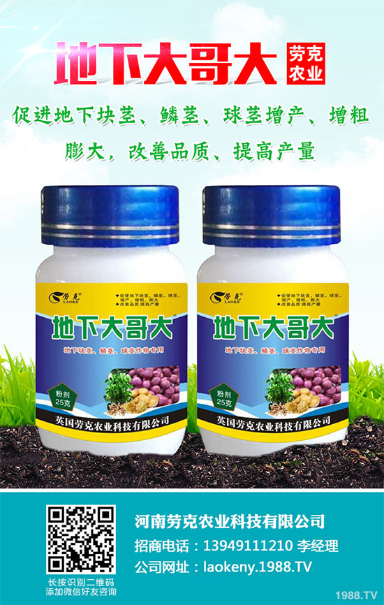 �������Щ�I�B(y��ng)�rֵ���Խ������Щ��̎����˵Ĺ�Ч�c����