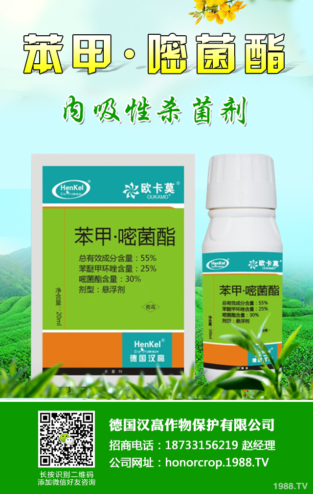 ���[˪ù����ô�k�����[˪ù�����μ���