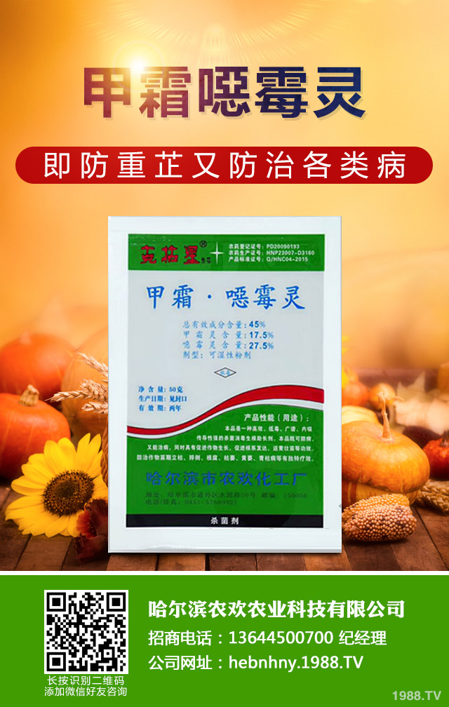 ��Щ������ɣ����P����ɣ����P�����μ���