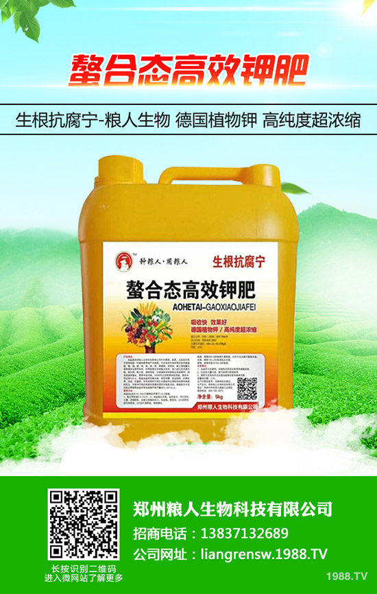 ���y�����ʩ�������y���߮a(ch��n)ʩ��Ҫ�c��