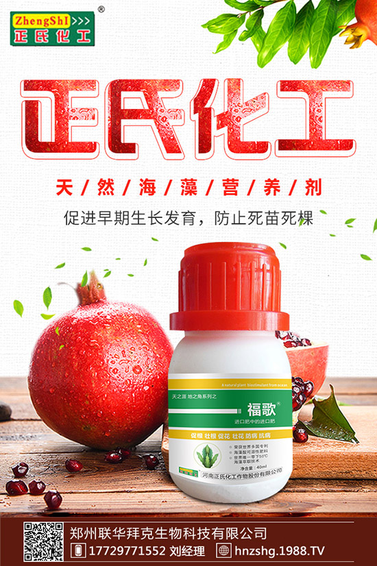 ���y����ʲô���������y���Ĺ�Ч�cʳ�ý�����