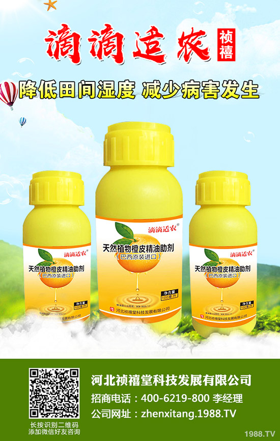 �＾��ݮ��ι������ܸ߮a(ch��n)���＾��ݮ��ֲ�������g(sh��)��