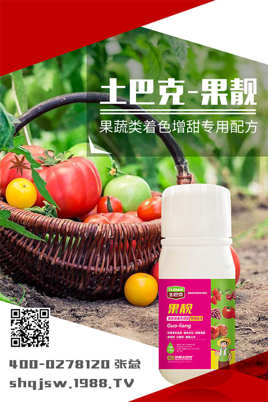 �ϹϷNֲ�r(sh��)�g��ʲô�r(sh��)�����ϹϵĲ��N���������༼�g(sh��)!