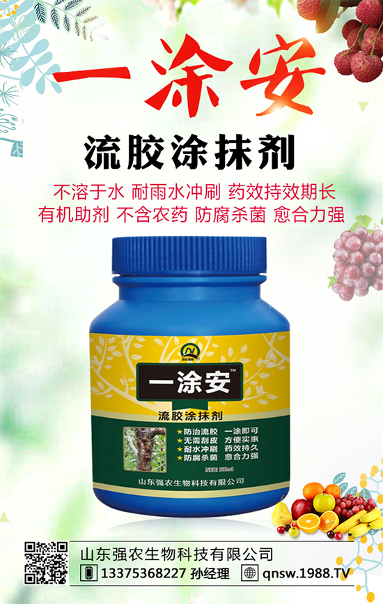 ܛ��ʯ��Ʒ�N����Щ��ܛ��ʯ��ĸ߮a(ch��n)�Nֲ���g(sh��)